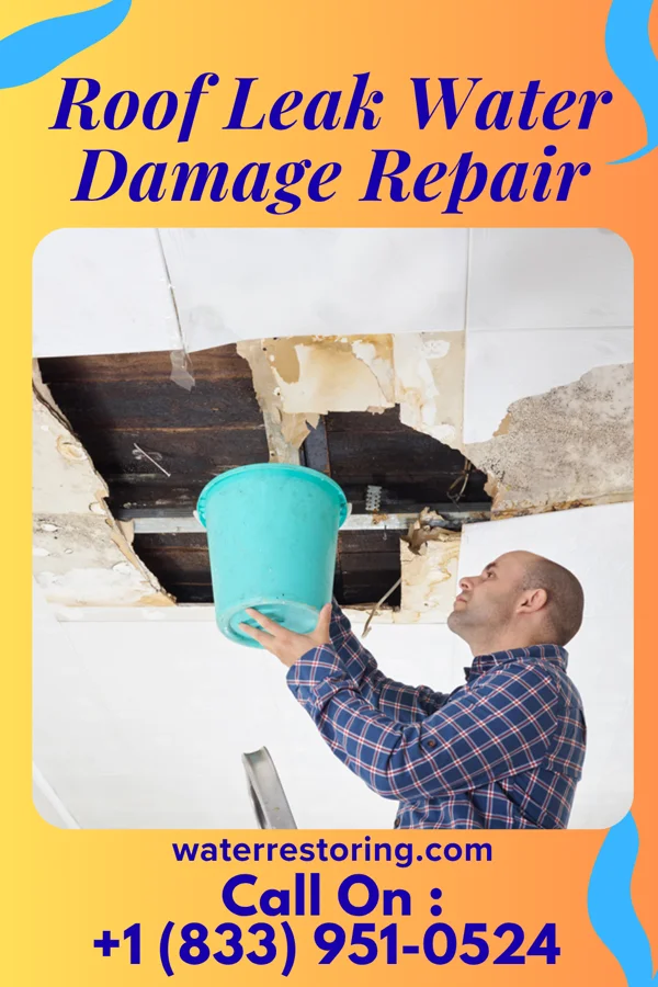 Roof Leak Water Damage Repair in Blue Ridge, TX
